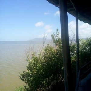 Meet your Posher, Steve